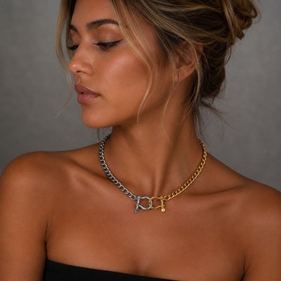Bicolor Ατσάλινο Choker Κολιέ με T-Bar Κούμπωμα
